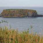 Sheep Island