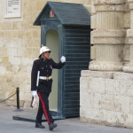 Maltese Guard