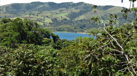 The long and winding road......back home. Lake Arenal