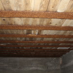 Bunker ceiling showing shock absorbing interior