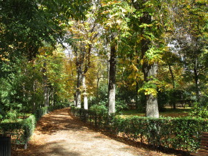 Parque de El Retiro - favorite spot for a weekend stroll