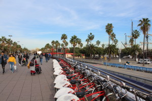 Ocean-side promenade