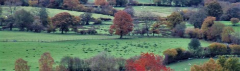 A real Welsh road trip