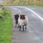 Irish roadblock