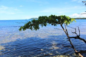 The beach at Skully's