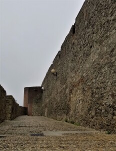 Ancient city wall