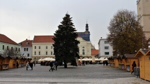 Saturday farmers market & getting ready for Christmas Market