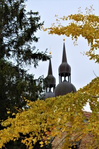 St. Nicolas & trees