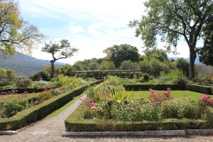 Lincoln Garden